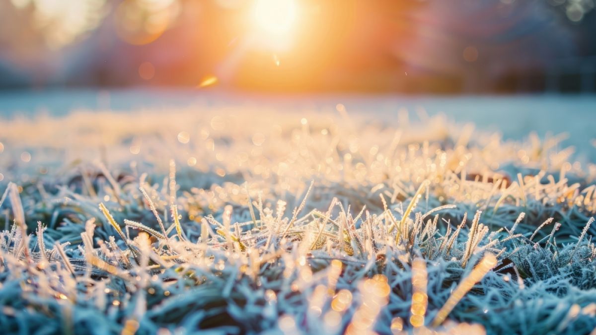 Einige Regionen müssen sich in der nächsten Woche auf nächtlichen Bodenfrost einstellen. Einige Regionen müssen sich in der nächsten Woche auf nächtlichen Bodenfrost einstellen. (Foto)