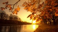 Deutschland kann sich schon bald wieder auf sommerliche Temperaturen freuen.
