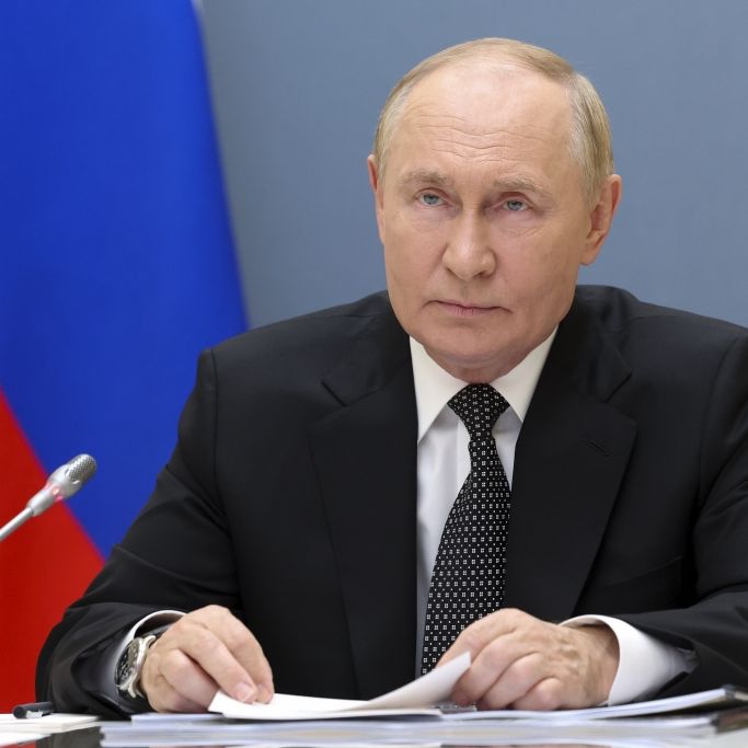 Nach Gefangenenaustausch: Schickt Russland seine Ex-Häftlinge wieder in den Ukraine-Krieg?