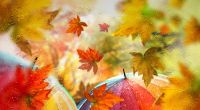 Droht Deutschland der erste Herbststurm?