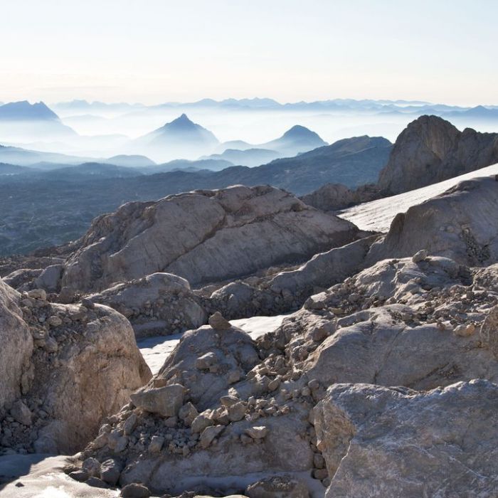 Wiederholung der Sendung im TV und online