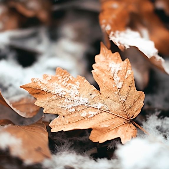 Kaltluft flutet Deutschland - hier drohen Bodenfrost und Schnee