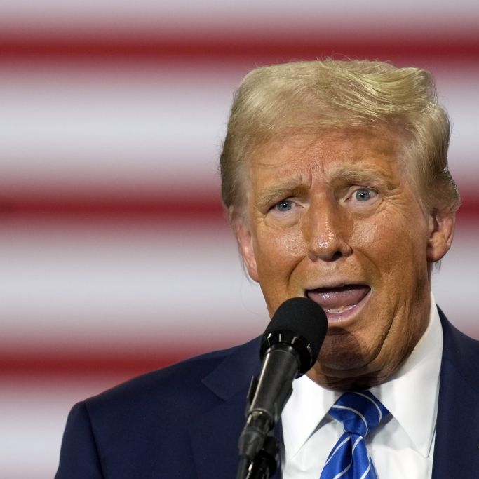 Kriegsende innerhalb von 24 Stunden? Experten zerlegen Trumps Friedensplan