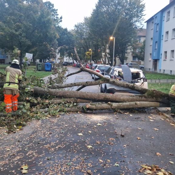 Hurrikan-Reste wirbeln Deutschland durch - Feuerwehren im Dauereinsatz