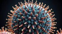 Laut einer Ärztin verweist ein bestimmtes Symptom auf eine Infektion mit der Corona-Mutation XEC. (Symbolfoto)
