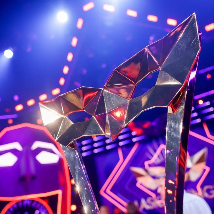 TMS-Sendetermine für Staffel 11 in TV, Live-Stream und Wiederholung
