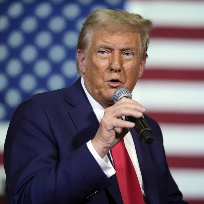 Trump-Nichte stellt klar: Darum ist Trump als US-Präsident ungeeignet