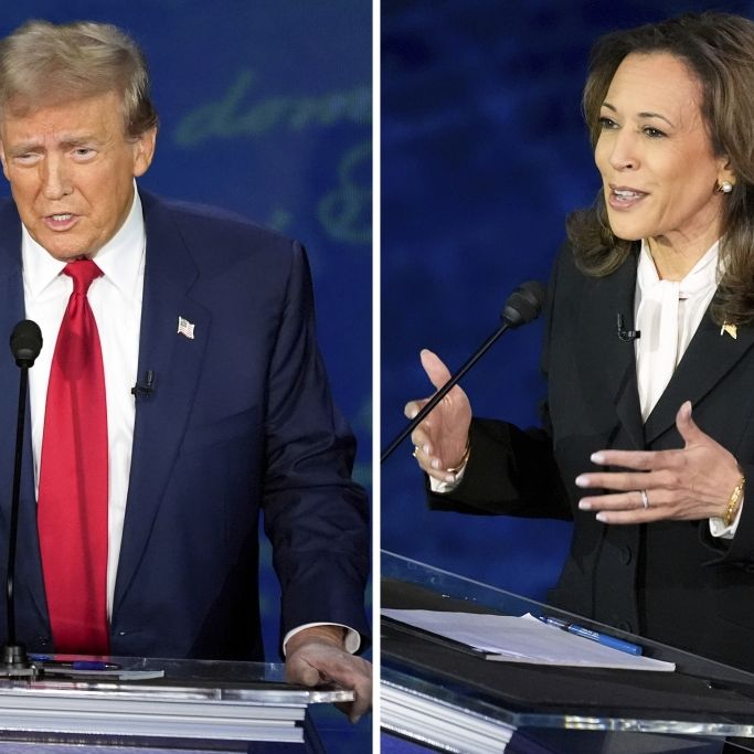 Kamala Harris: Trumps Vorgehen in Kalifornien 