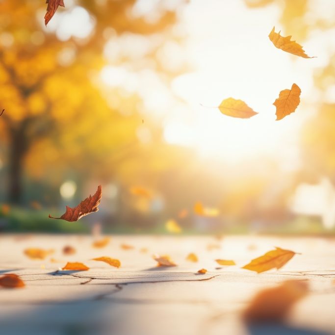 Keine Spur von Winter-Wetter - Prognose verspricht Dauerwärme bis November