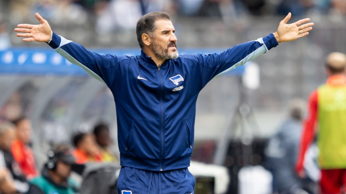 Herthas Trainer Cristian Fiel steht gestikulierend am Spielfeldrand. (Symbolbild) (Foto)