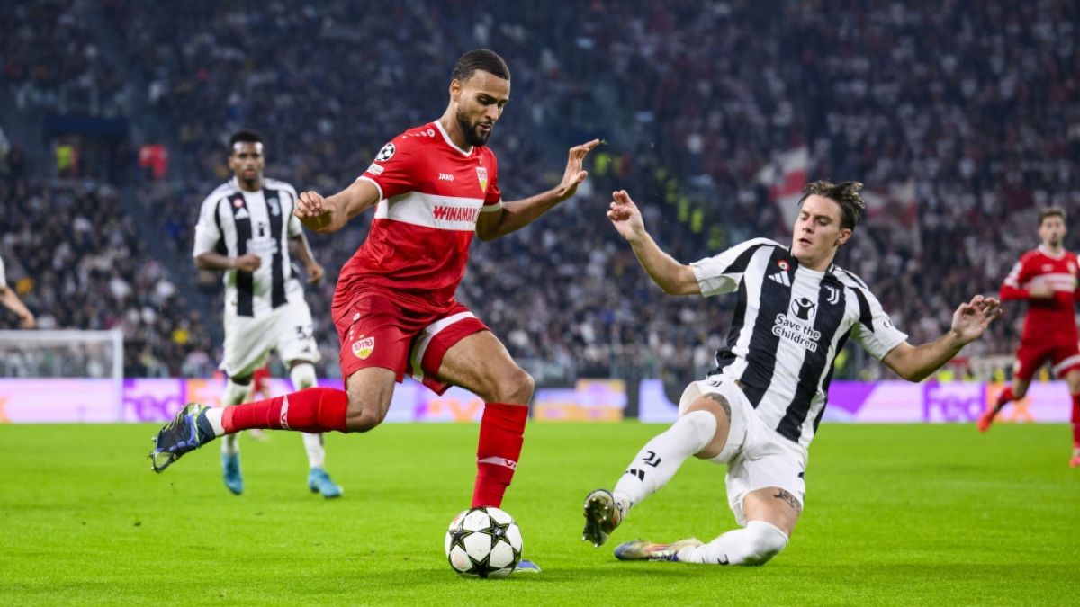 VfB Stuttgart vs. Atalanta Bergamo in Live-Stream und TV: Schwaben