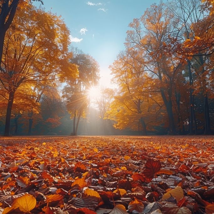 Wie lang hält das milde Herbstwetter noch an?