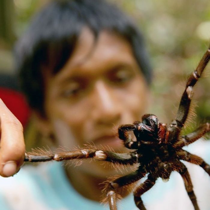 Wiederholung der Auslandsdoku im TV und online
