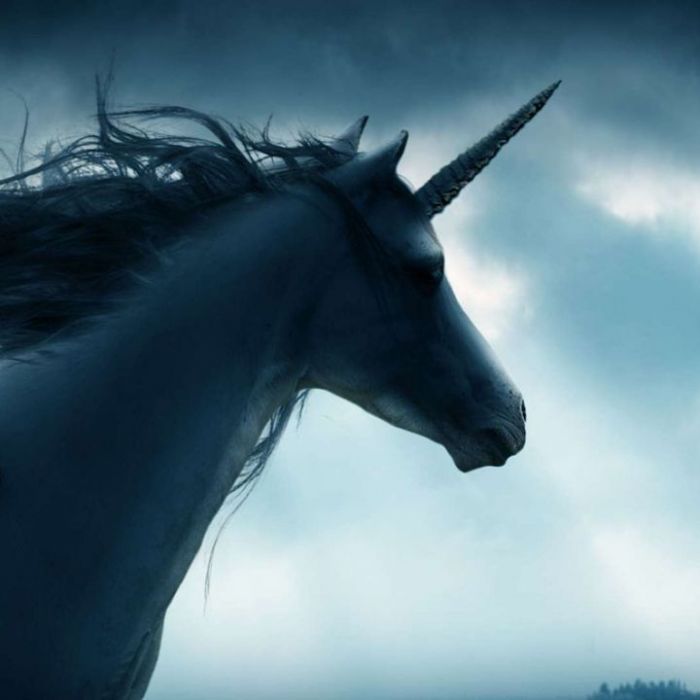 Wann und wo man die Wiederholung sehen kann