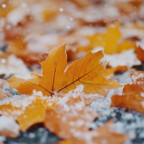 Wintereinbruch zur Monatsmitte? Das sagen Meteorologen