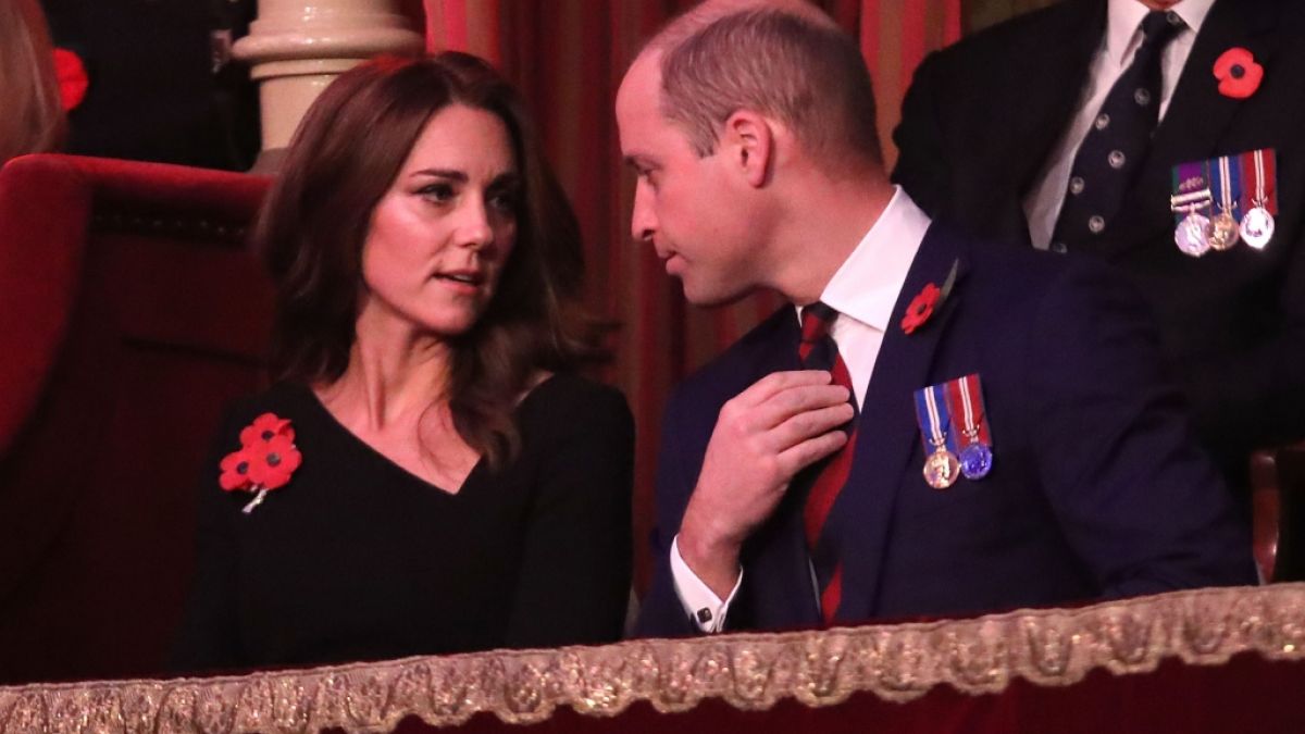 Die Gedenkfeierlichkeiten zum Remembrance Day sind für Prinzessin Kate, Prinz William und den Rest der britischen Königsfamilie eine Herzensangelegenheit. (Foto)