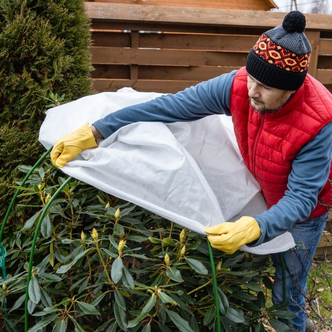 So schützen Sie jetzt Ihre Pflanzen vor Frost und Kälte