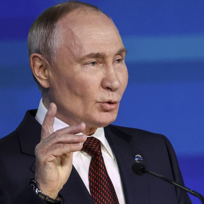 Zäune, Gräben und Minenfelder: Dieses Milliarden-Projekt soll vor Putin schützen