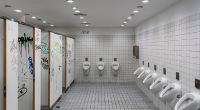 Der Täter verschaffte sich Zugang zu den Schultoiletten.