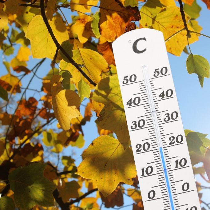 Meteorologen prophezeien 20-Grad-Intermezzo