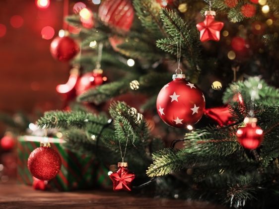 Weihnachten: Neuer Weltrekordversuch: 621 Weihnachtsbäume im Haus