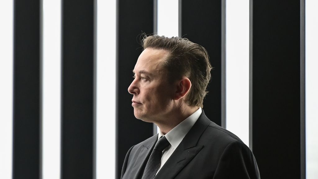 Elon Musk zwischen Erfindergeist und Wahnsinn. (Foto)