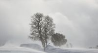 Droht ein Arctic Outbreak?