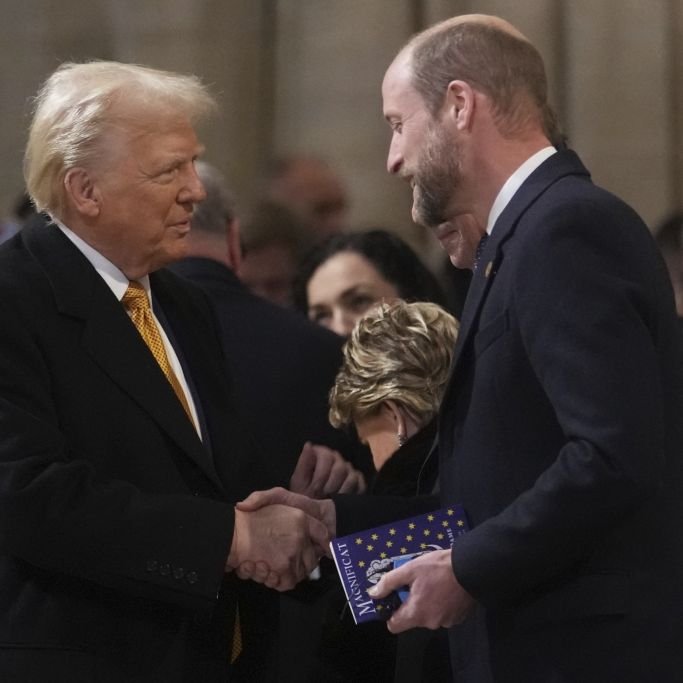 Neues Video sorgt für Furore - hier outet sich William als Trump-