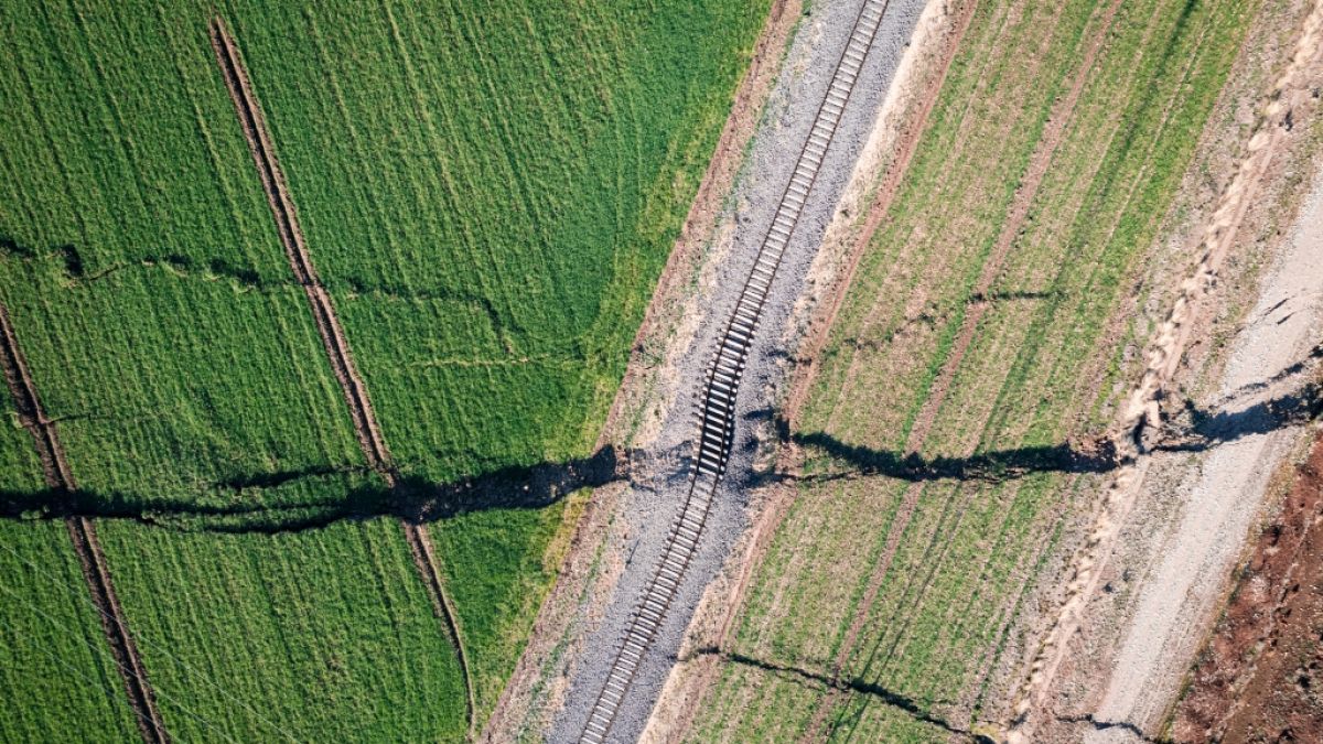 Durch st&auml;rkere Erdbeben k&ouml;nnen Bodenwellen und Risse in der Erde entstehen (Symbolbild). (Foto)