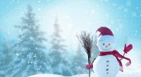 Auch 2024 wird es keine weißen Weihnachten geben.