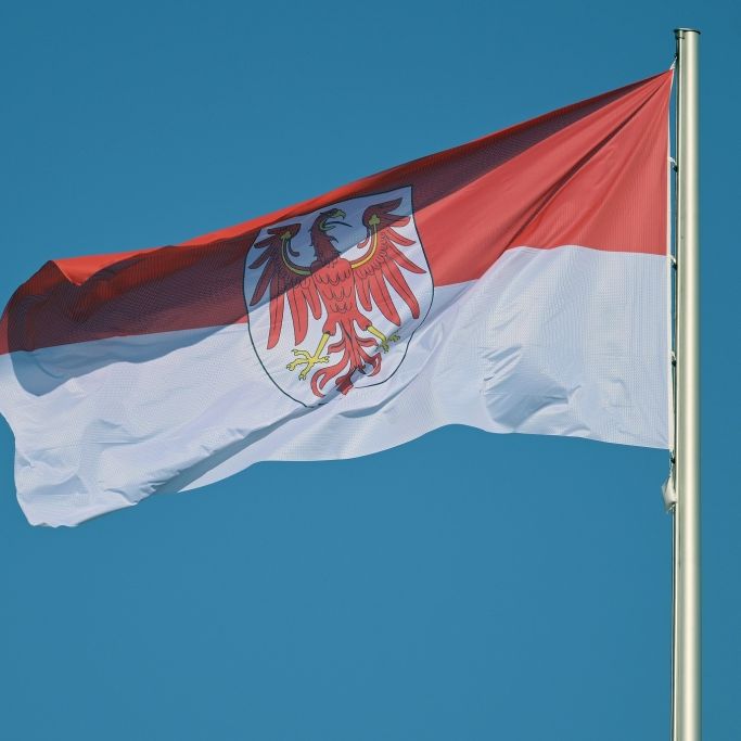 Wie verbreitet sind Corona, Grippe und RSV im März 2025?