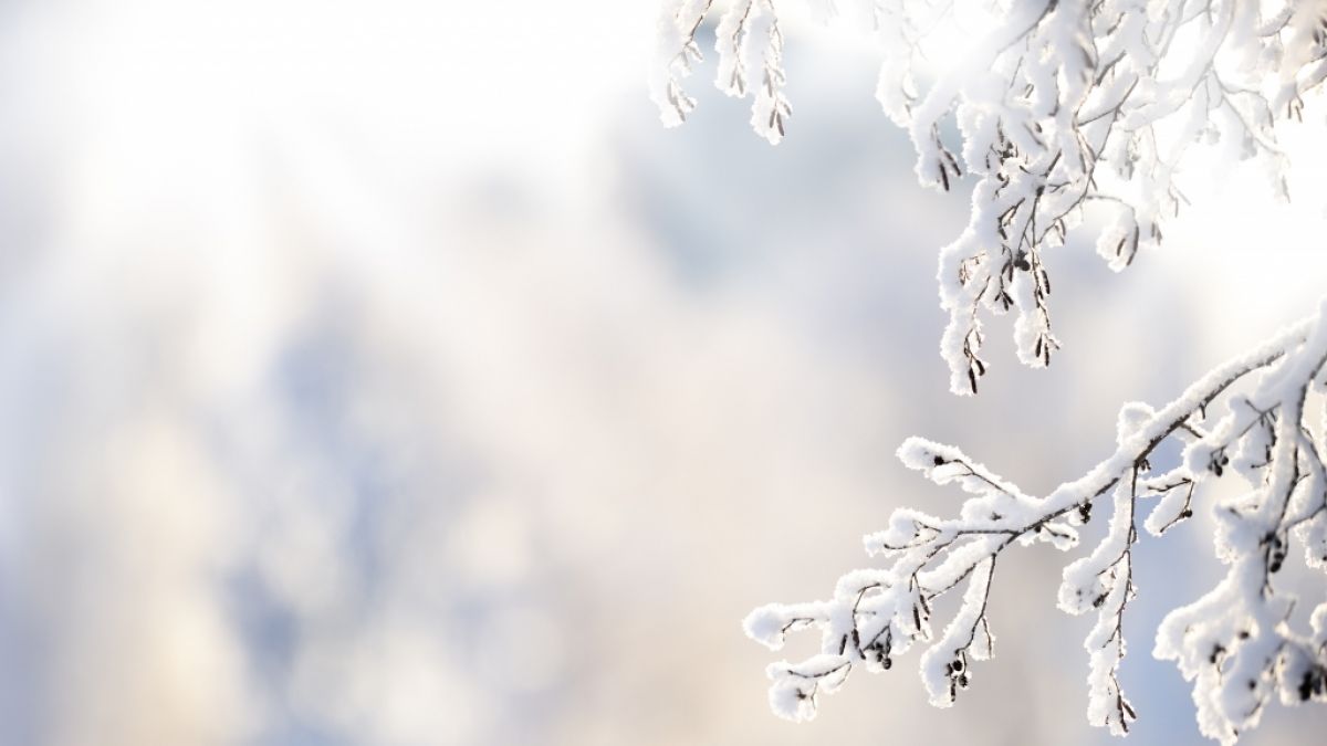 Wie wird das Wetter im Januar 2025? (Foto)