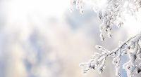 Wie wird das Wetter im Januar 2025?