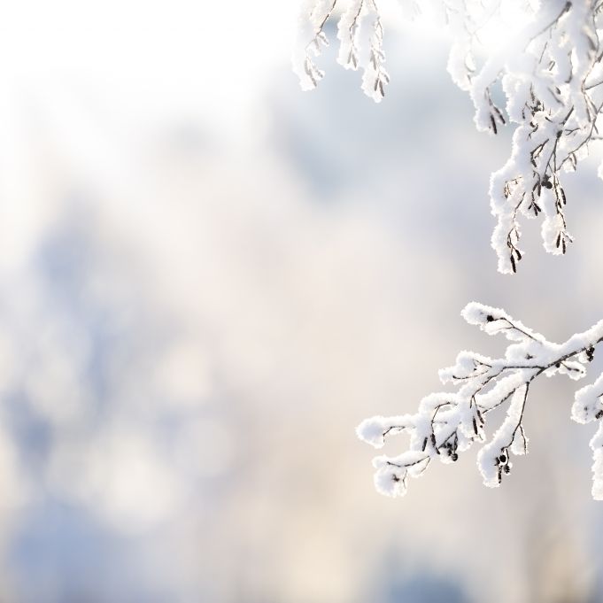 Eisige Winter-Klatsche im Januar? Das sagt der 100-jährige Kalender