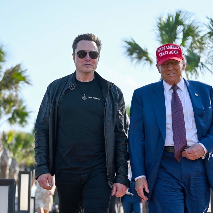 Musk ist der 
