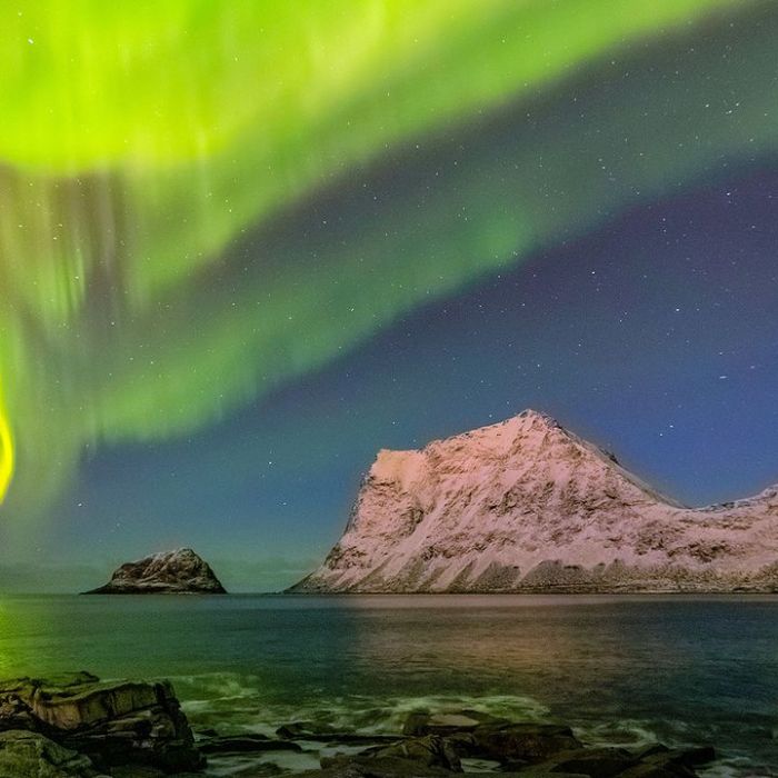 Wiederholung der Naturreihe online und im TV