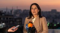Annalena Baerbock wurde auf Pressefotos unkenntlich gemacht.