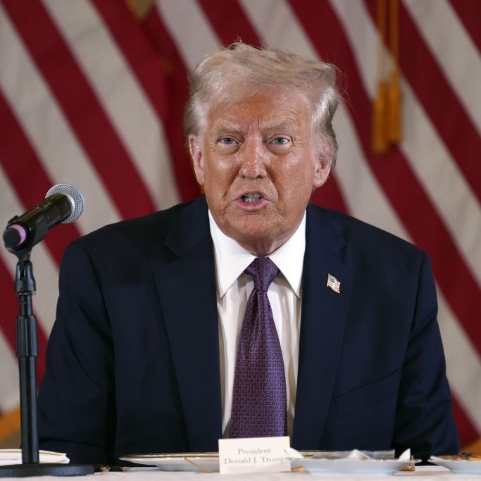 Künftiger US-Präsident wegen Plänen für neue Zollbehörde gemaßregelt