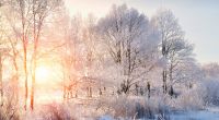 Können wir im Februar auf Winter-Wetter hoffen?