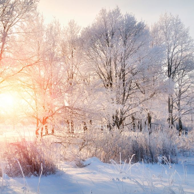 Winterklatsche im Februar? Wetter-Modell zeigt Tendenzen