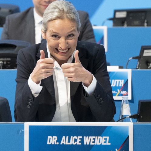 Blamierte AfD-Chefin geht Hochstapler auf den Leim