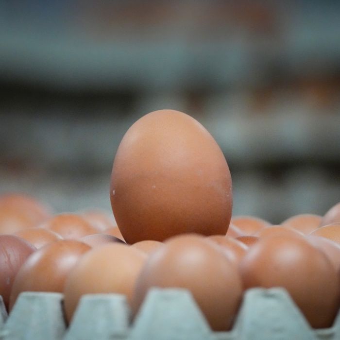 Darum sollten Sie Eier nicht nur zum Frühstück essen