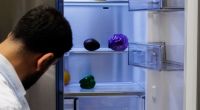 Mit einem einfachen Trick lassen sich unter Umständen Stromkosten beim Kühlschrank sparen.