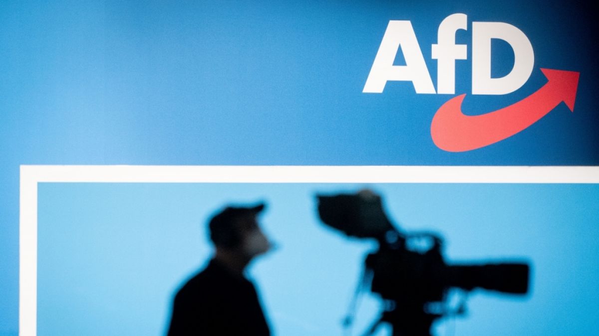 Die AfD erhielt eine Großspende über 35.000 Euro (Symbolbild). Die AfD erhielt eine Großspende über 35.000 Euro (Symbolbild). (Foto)