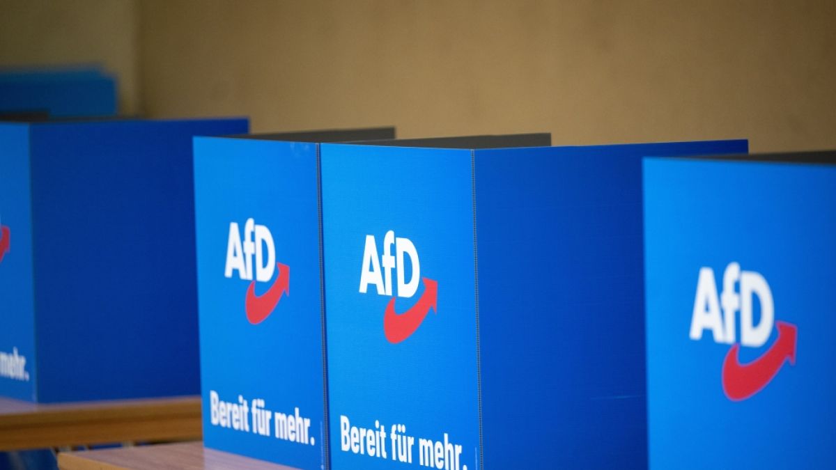 Die AfD erhielt eine Großspende über 35.000 Euro (Symbolbild). (Foto)