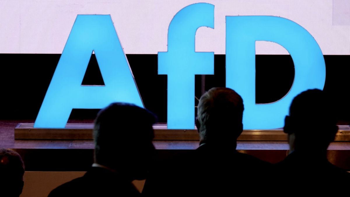 Die AfD erhielt eine Großspende über 35.000 Euro (Symbolbild). Die AfD erhielt eine Großspende über 35.000 Euro (Symbolbild). (Foto)
