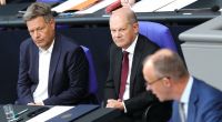 Habeck, Scholz oder Merz: Die Mehrheit der Wirtschaftsbosse wünscht sich in einer Umfrage den CDU-Chef als Bundeskanzler.