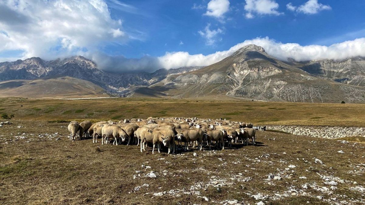 Der Apennin - Italiens Naturparadies bei 3sat (Foto)