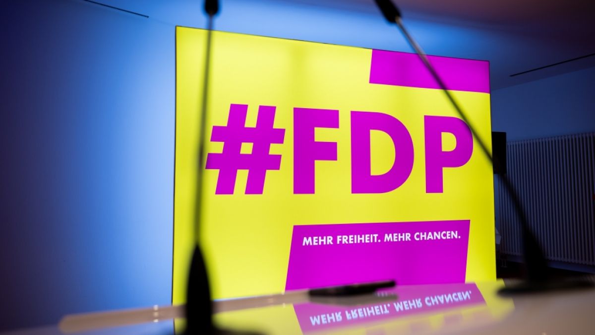 Die FDP erhielt eine Großspende über 35.000 Euro (Symbolbild). (Foto)