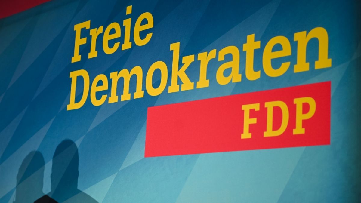 Die FDP erhielt eine Großspende über 35.000 Euro (Symbolbild). (Foto)